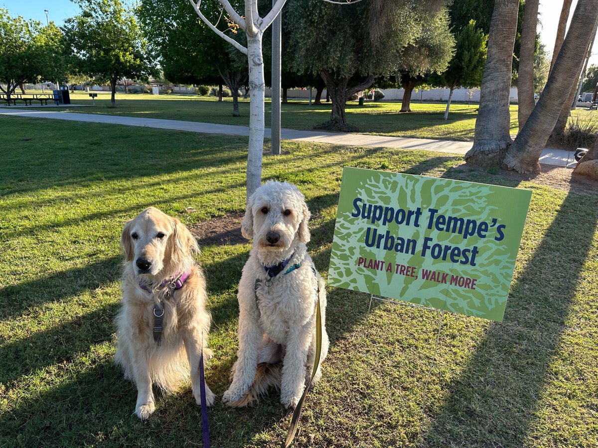 Jacks, Bo and I support this message.  #PlantATree #WalkMore #UrbanForest