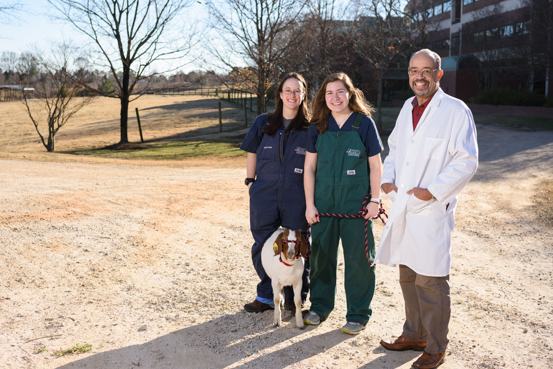 NCStateVetMed tweet picture