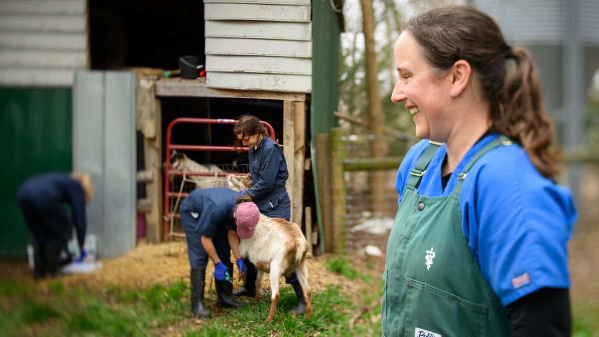 NCStateVetMed tweet picture