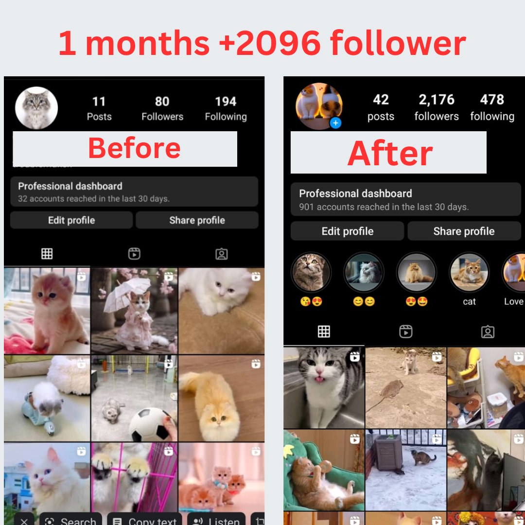 This is a cat's Instagram account that I've been working on for a month, and in that month, I've gained 2096 followers. All followers are 100% real, no bots or fake followers.
