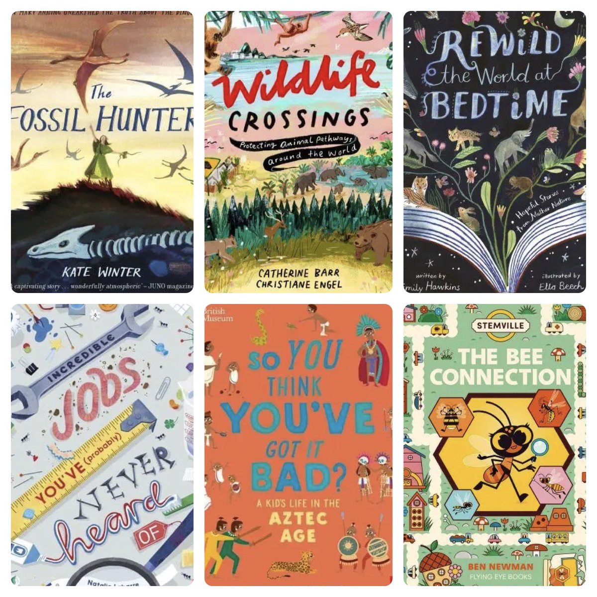 It’s been a busy week of book reviews. First up, here are all our nonfiction books. Thank you @katehitchings1 @Stickforamoon @rebeccakennedy @gethinwallace and @MrWCardiff for your reviews: justimagine.co.uk/childrens-book…