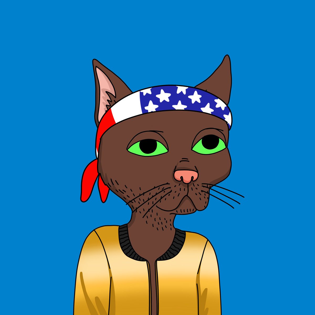 MatCat80 tweet media