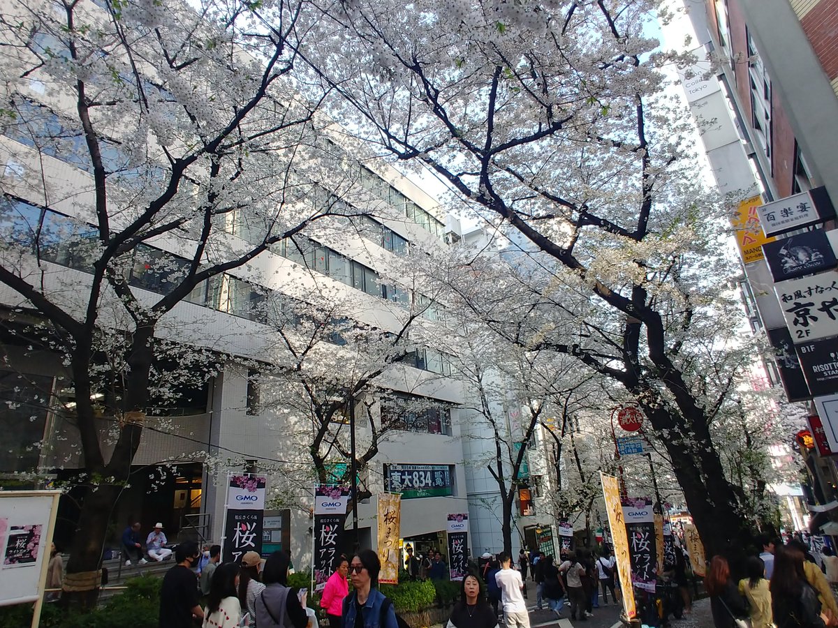 春らしく🌸も見てきた！