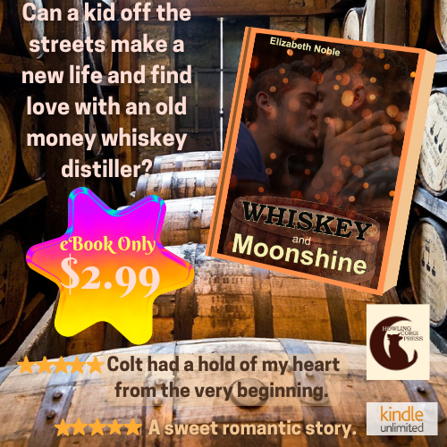 🥃eBook Sale! 2.99 or read in KU!🥃 eBk/Audio: books2read.com/u/bPQZOz #mmromance #KindleUnlimited #sweetromance #elizabethnoble #agegapromance #romanticsuspense #thriller #kidnapped #mmhurtcomfort #hurtcomfortromance #gayromance #audiobooks