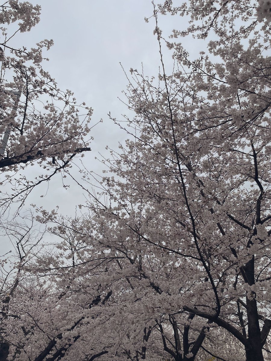 종현아 생일 축하해
내 기억 속 항상 환하게 웃으면서 또 항상 울고 있는 우리 쫑… 보고싶다!
올해도 너를 기억해 🫶🏻