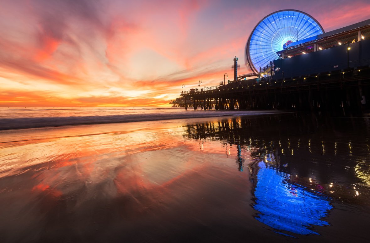 Brandon Yoshizawa tweet media