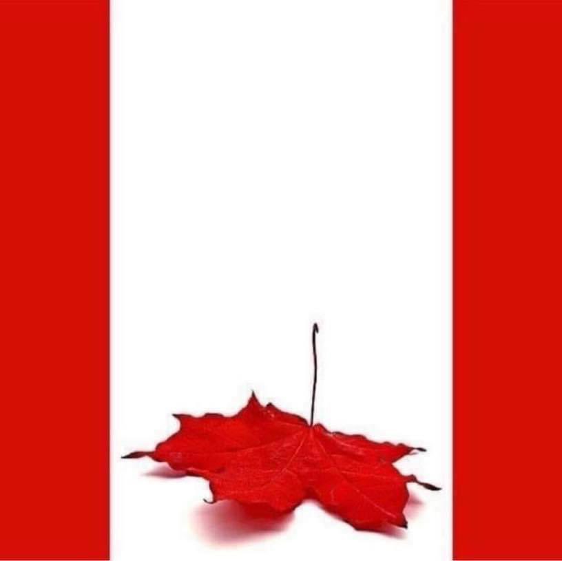 Trudeau's Canada Crippling taxation.. Deep division.. Men in women's washrooms.. Men in women's sports.. Child mutilation.. MAID.. Unstainable immigration.. Unvetted immigration.. Celebrating of terrorists while demonizing patriotism.. Unchecked antisemitism.. Censorship.. 1/2