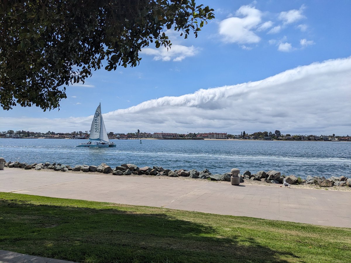 Very happy to be in the middle of a staggering 22,500 cancer researchers at #AACR24 in San Diego. Already 2 days of excellent #education and #science, and 4 days ahead as we collectively move towards #cancercures & #healthequity @MK_CCI @grimmrad @KidsCancerInst @FulbrightAUS