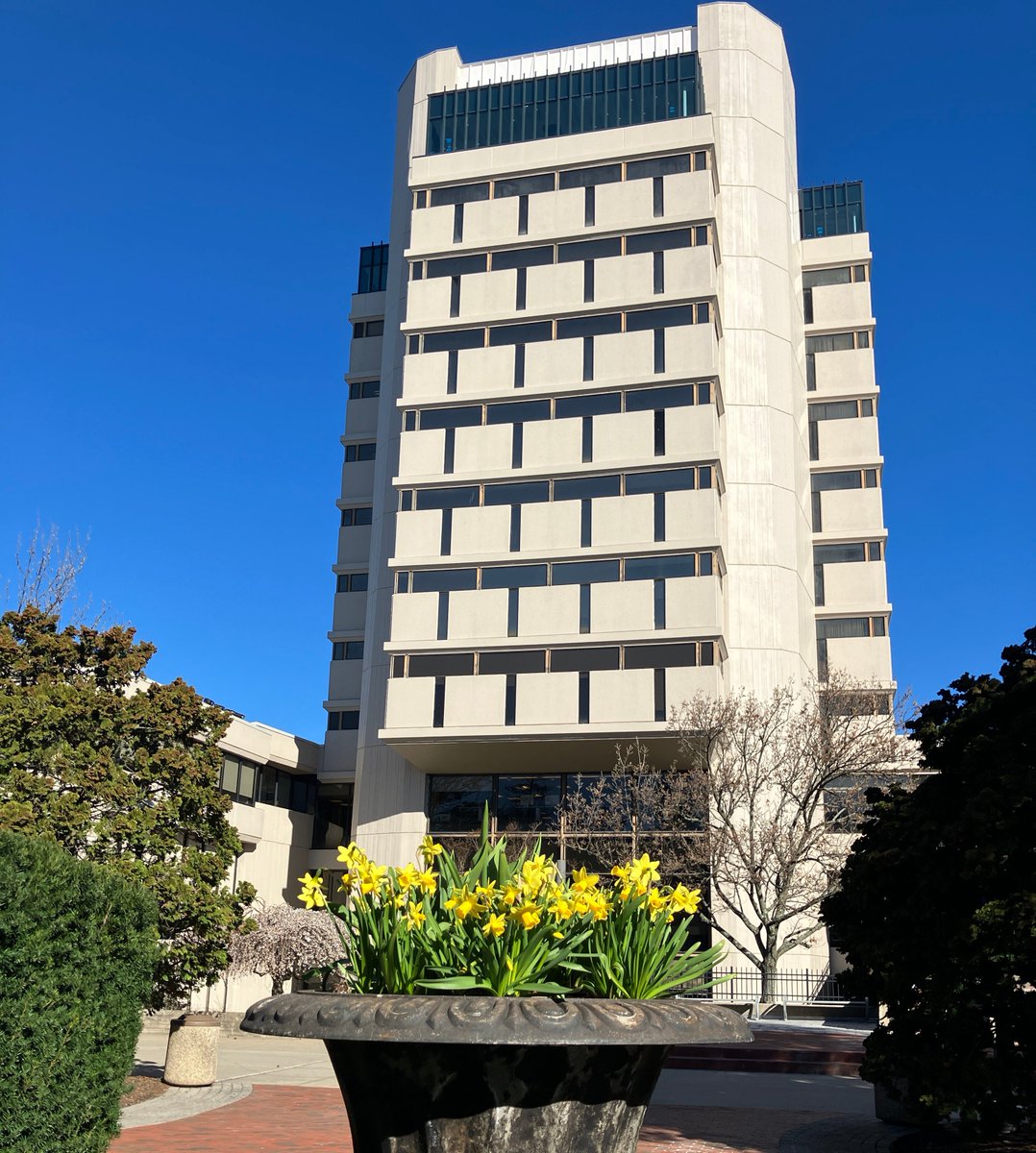 We are so lucky to be able to call this beautiful building home! #AxinnLibrary @Hofviews #Hofstra #Libraries