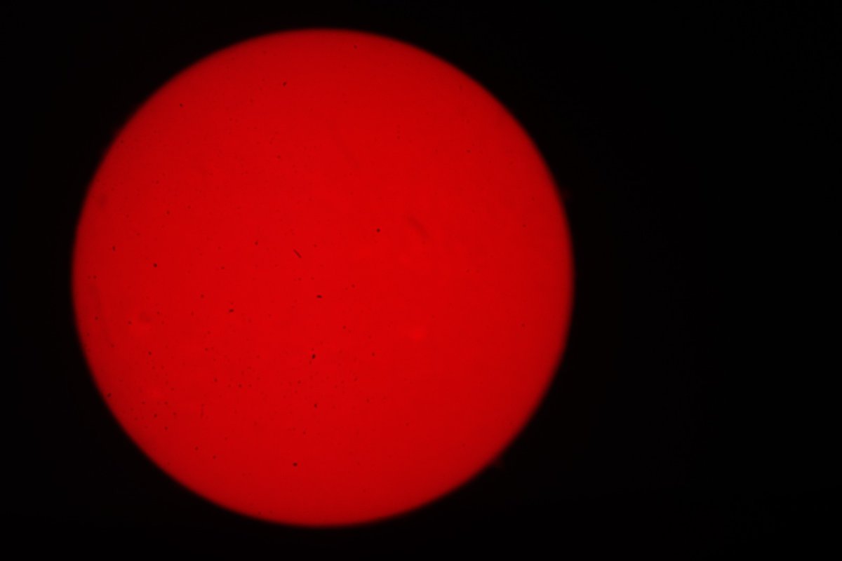 Efren_Cielo's tweet image. En INAOE el Telescopio solar y la cámara schmidt, lugar donde será observado y transmitido el Eclipse del 8 de abril 2024 🔭📡☀️🌒🌚📸🇲🇽
#INAOE  #eclpse #EclipseSolar   #eclipse2024