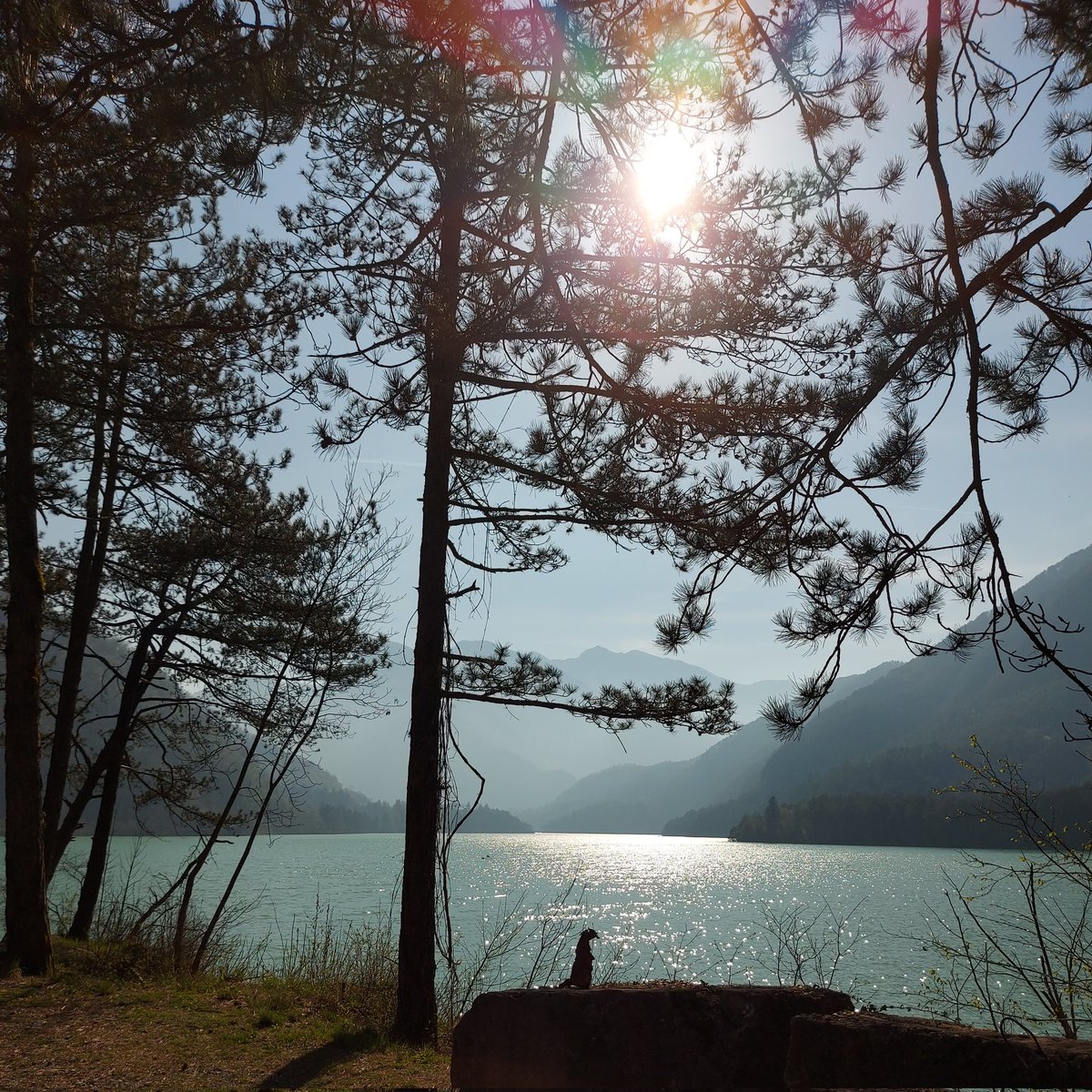 lilianaalto's tweet image. Val Tramontina #Friùl