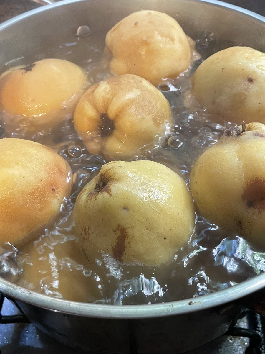 Ojalá podríamos compartirles el aroma a miel que están largando los increíbles membrillos de <a href="/fincalacoti/">Federico Mastronardi</a>