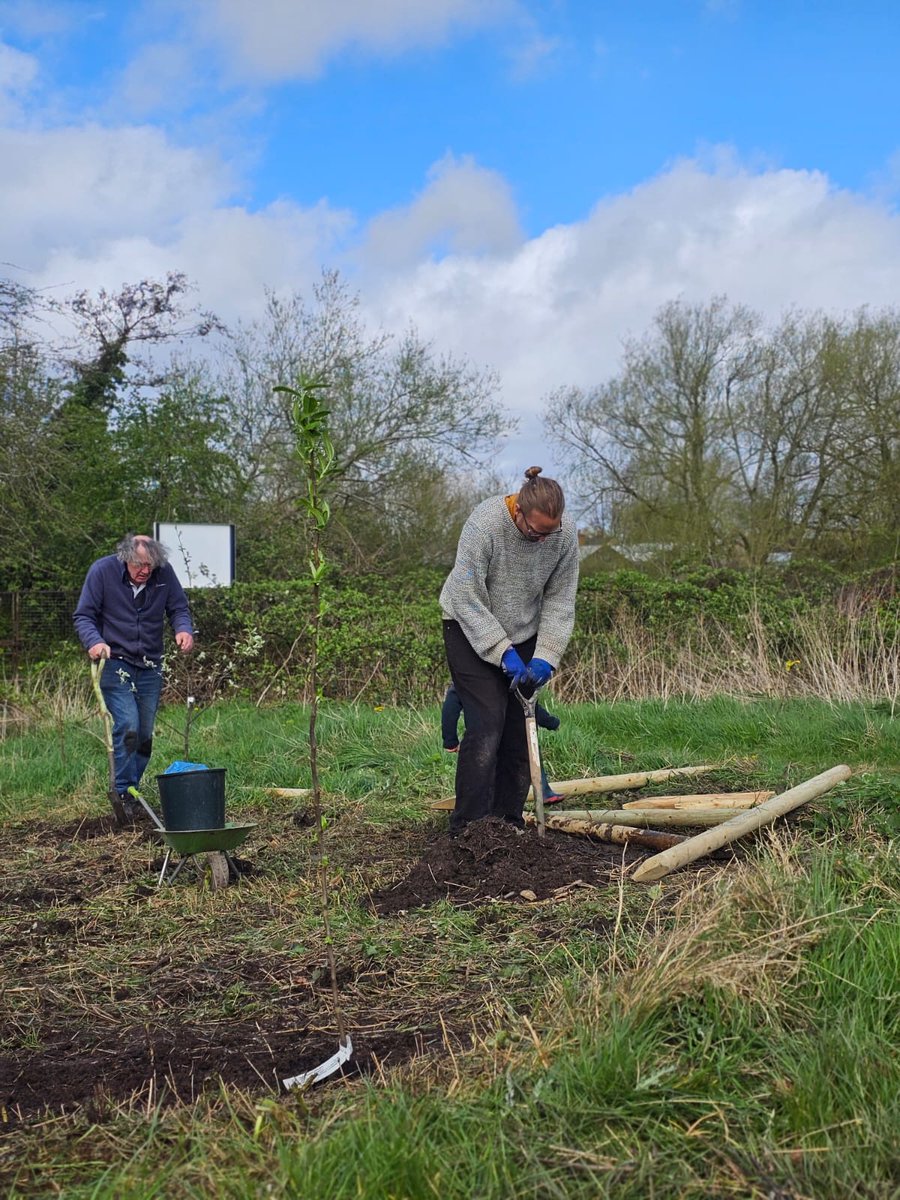 A new orchard planted for #Stirchley today... in #HazelwellFarmAllotments. #GroundPreparation #STCommunityFund