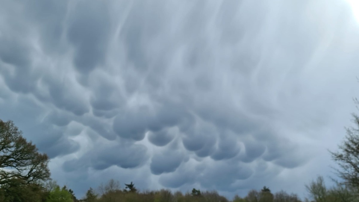 🤔 Have you noticed what appear to be pouches falling from the sky? These are mammatus clouds, as snapped by a user in Oxfordshire last week! 👀 See more shots: app.weatherandradar.co.uk/U13Q/7xae7mus 📸 Get involved: weatherandradar.co.uk/upload #NaturePhotography #Weather #Clouds