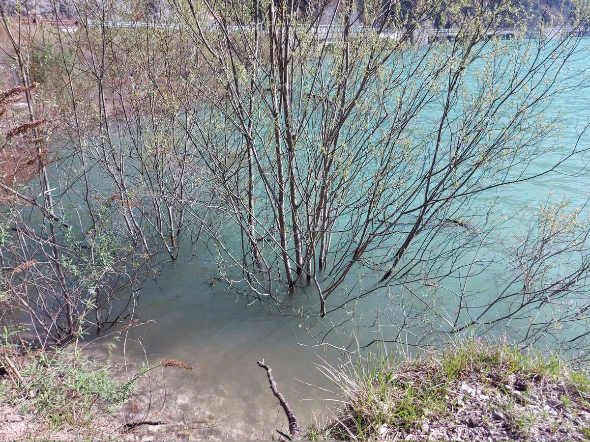 lilianaalto's tweet image. Val Tramontina #Friùl