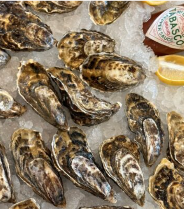 Oyster Buoys launch new home delivery service to bring fresh oysters to doorsteps across England. @oyster.buoys Click on the link in the bio for more information. #OysterBuoys #FreshOysters #OysterDelivery