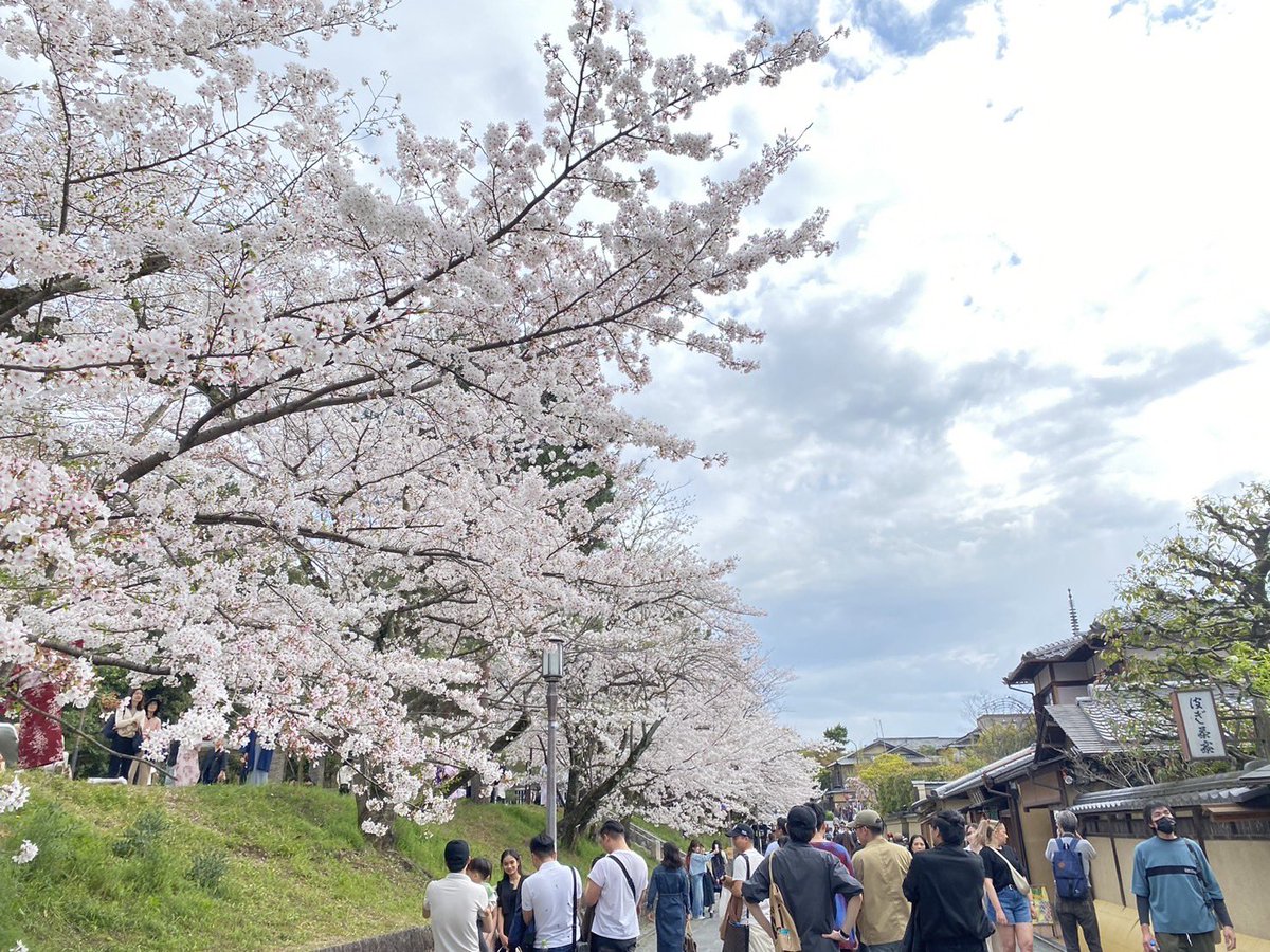 🌸京都散策🍡
「祇園四条組」と「京都動物園組」に分かれて京都散策を行いましたー！

参加していただいた皆様ありがとうございます！皆様とたくさんお話しできてとても嬉しかったです😊

明後日には新歓撮影がございますのでぜひ楽しみに！🎬

参加方法は是非DMまで！

#自主制作映画 #学生映画