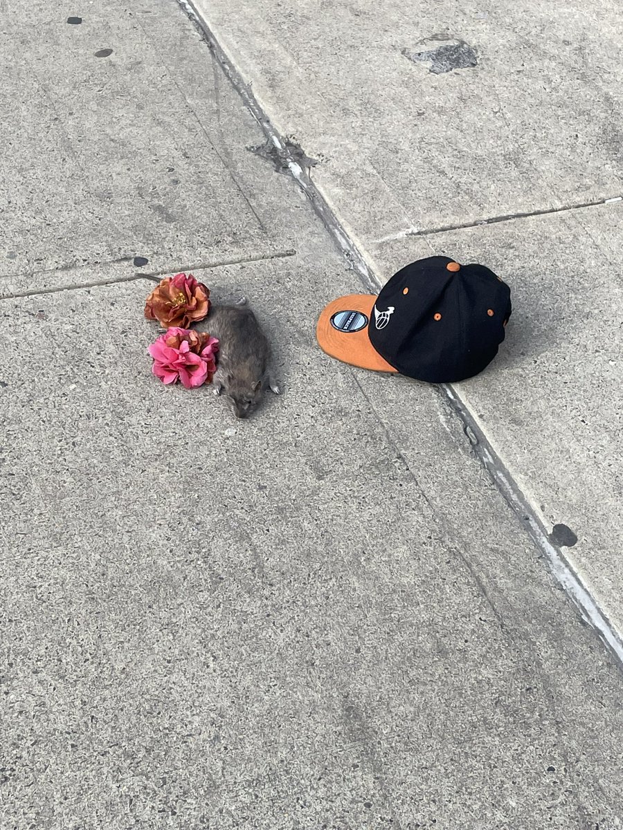 guy really gave up his hat to honor the life of a rat