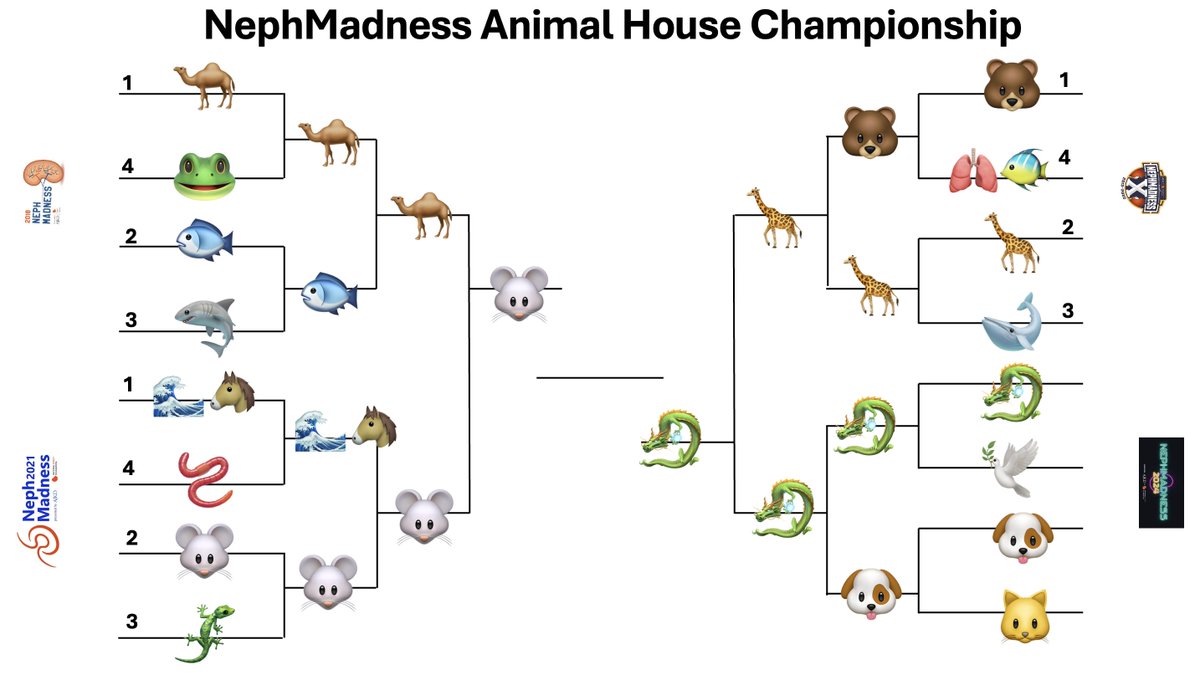 Championship Round for #NephMadness #AnimalHouse Tournament 2024: ajkdblog.org/category/nephm…