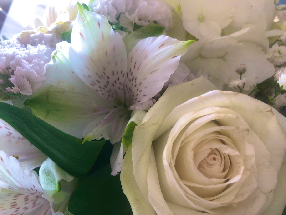 zeLaure_'s tweet image. E tincelle #Secrète 
T oi #Lumière à la #Corde d’#Argent
R ayonnante de #Dix #Mille #Soleils 
E cho #Vibratoire au #Solfège de l’#Amour 

L ibre #Arbitre entre #Être #Conditionné et #Être #Libre 
I nvitation Du #Coeur 
B ien-Aimé #AYAM 
R épandant la #Pulsation 
E cho de La #Vie