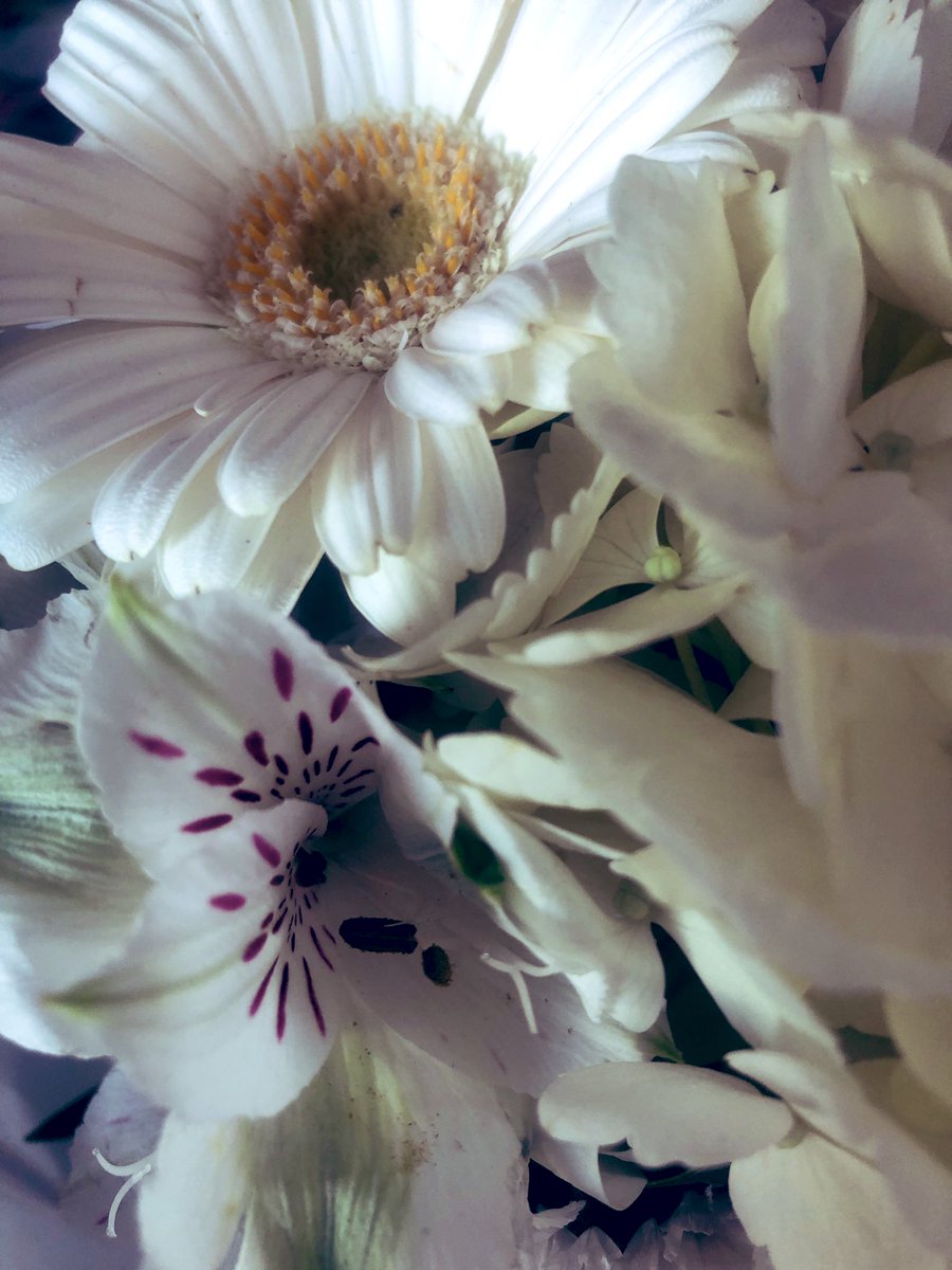 zeLaure_'s tweet image. E tincelle #Secrète 
T oi #Lumière à la #Corde d’#Argent
R ayonnante de #Dix #Mille #Soleils 
E cho #Vibratoire au #Solfège de l’#Amour 

L ibre #Arbitre entre #Être #Conditionné et #Être #Libre 
I nvitation Du #Coeur 
B ien-Aimé #AYAM 
R épandant la #Pulsation 
E cho de La #Vie