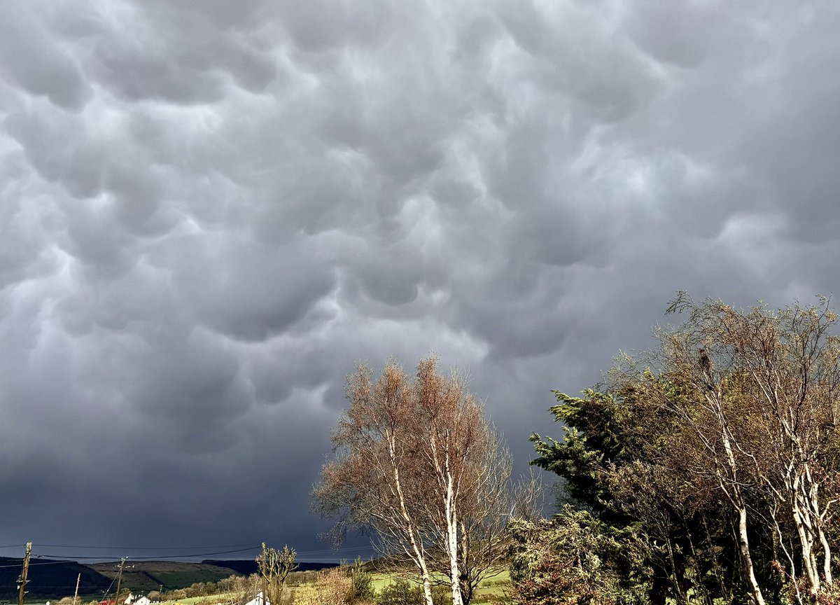 Awesome mammatus on the back of the 1st of a few impressive cells in the Sperrins this afternoon, 2.30pm. What a fantastic storm day with a rumble of thunder in the next cell😍⛈️@bbcniweather @UTVNews @angie_weather @barrabest @WeatherCee @Louise_utv @StormHour @WeatherRadar_UK