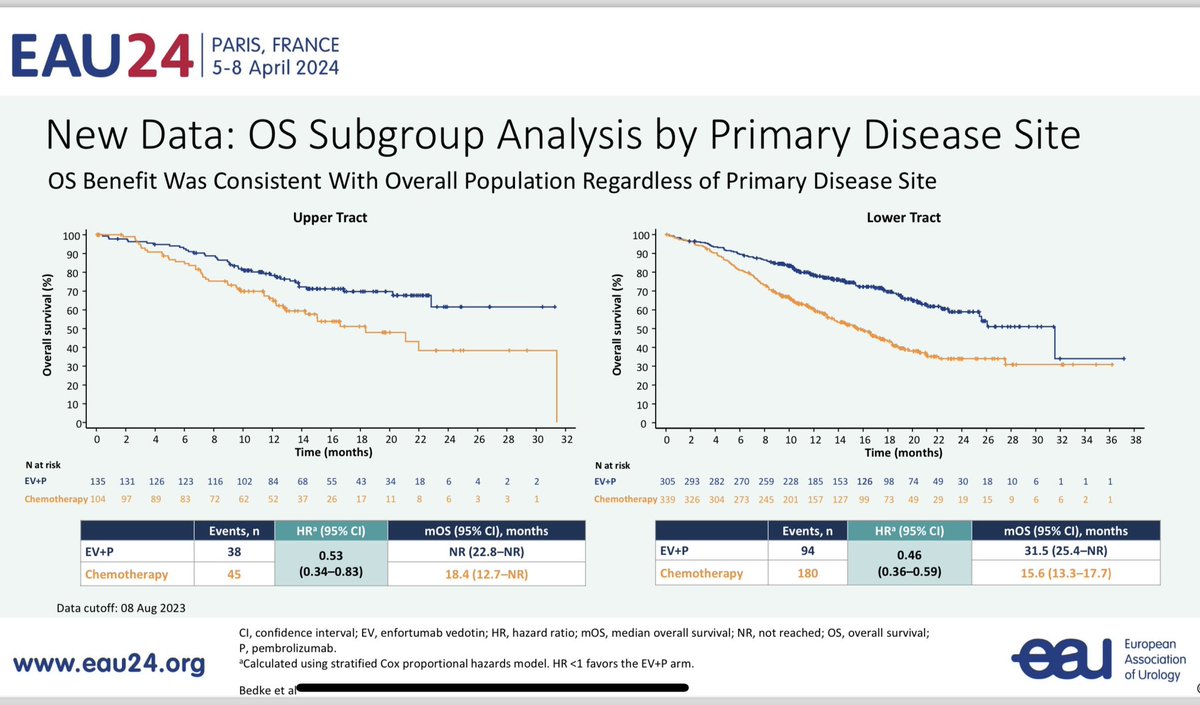 New data from EV302 Enfortumab Vedotin & pembrolizumab for upper tract disease (~25% of pts). UTUC has distinct biological features including more FGFR alterations. PFS & OS HR of 0.50 & 0.53 respectively in the subset is in line with the whole population (0.45 and 0.47) #EAU24