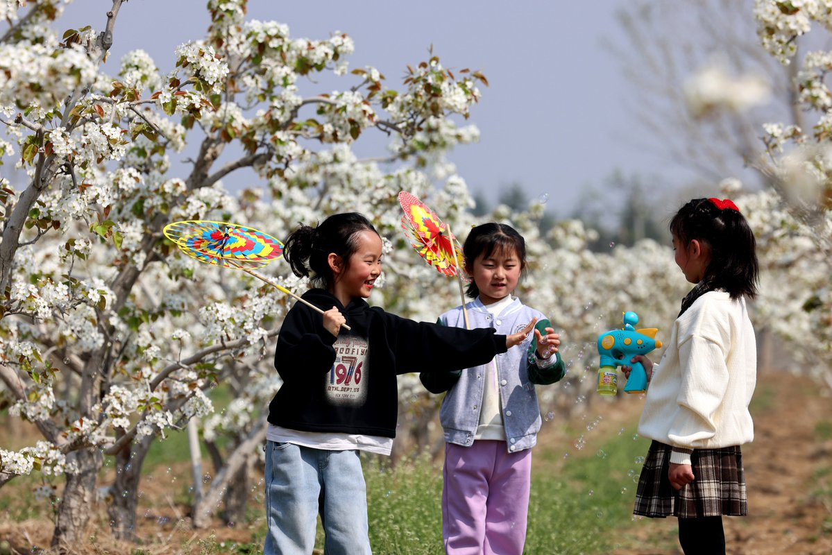 📈 China’s 3-day #QingmingFestival, or Tomb Sweeping Day, sees a surge in domestic travel!
✈ 119 million trips, up 11.5% from the same period in 2019
💰 Tourism revenue hits 53.95 billion yuan ($7.6 billion), a 12.7% increase from the same period in 2019