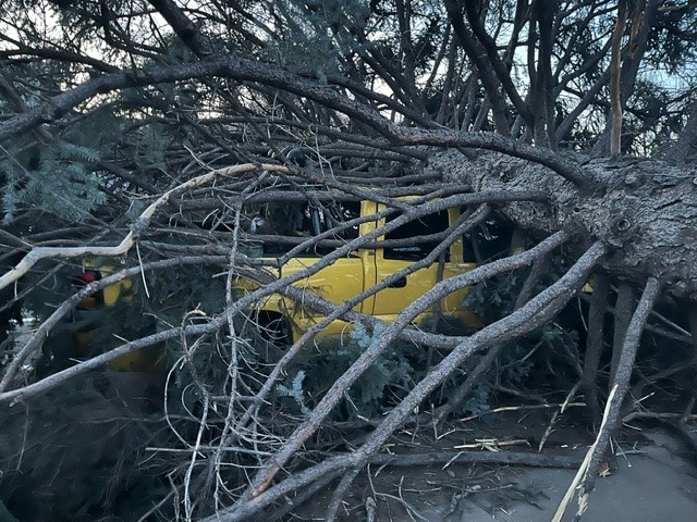 Some downed trees in Centennial caused major damage to homes and property during the windy weather. In the first two photos, a huge tree was uprooted and fell onto the roof a home in the 6000 block of S. Elizabeth Way. The house is unoccupied so no one was injured. @SouthMetroPIO…