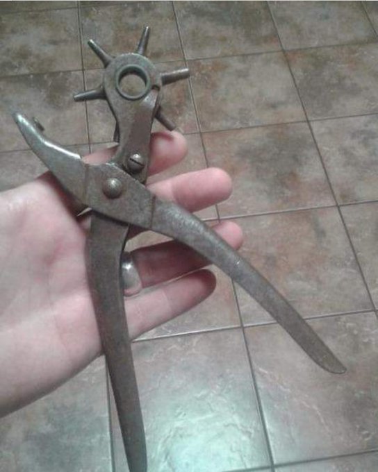 legionariA tweet media