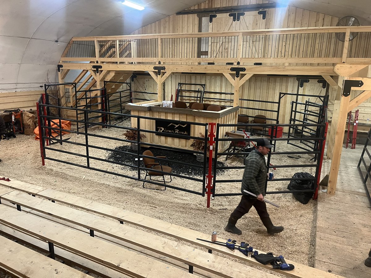 Bull sale prep in full swing 
Join us april 19 cataloge available for viewing theangusstore.ca