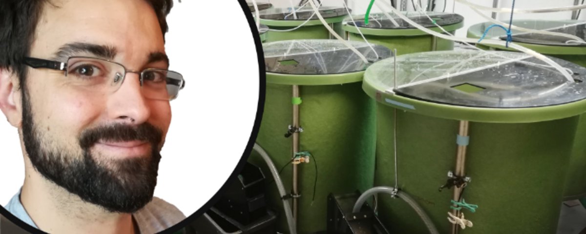 Träffa forskare från <a href="/SWEMARC_UGOT/">SWEMARC</a>  &amp; utforska framtidens sjömat under <a href="/vetfest_gbg/">Vetenskapsfestivalen</a> , 19-20 april, i Göteborg.
– I min workshop ”Odla fisk i en loop” kommer jag att berätta för besökarna om slutna vattenbrukssystem, sade Jonathan Roques.
tiny.cc/epdoxz

<a href="/Sea_and_Society/">Sea and Society</a>