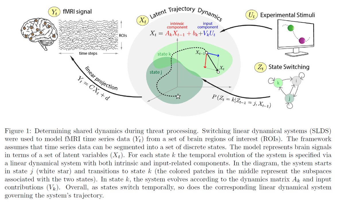 𝗖𝗮𝗻 𝘄𝗲 𝘂𝗻𝗱𝗲𝗿𝘀𝘁𝗮𝗻𝗱 𝗯𝗿𝗮𝗶𝗻 𝘁𝗵𝗿𝗲𝗮𝘁 𝗽𝗿𝗼𝗰𝗲𝘀𝘀𝗶𝗻𝗴 𝘃𝗶𝗮 𝗱𝘆𝗻𝗮𝗺𝗶𝗰𝗮𝗹 𝘀𝘆𝘀𝘁𝗲𝗺𝘀? Brain signals not as 'evoked responses' but as dynamic trajectories. Work by PhD student @JoyneelMisra biorxiv.org/content/10.110… 🧵