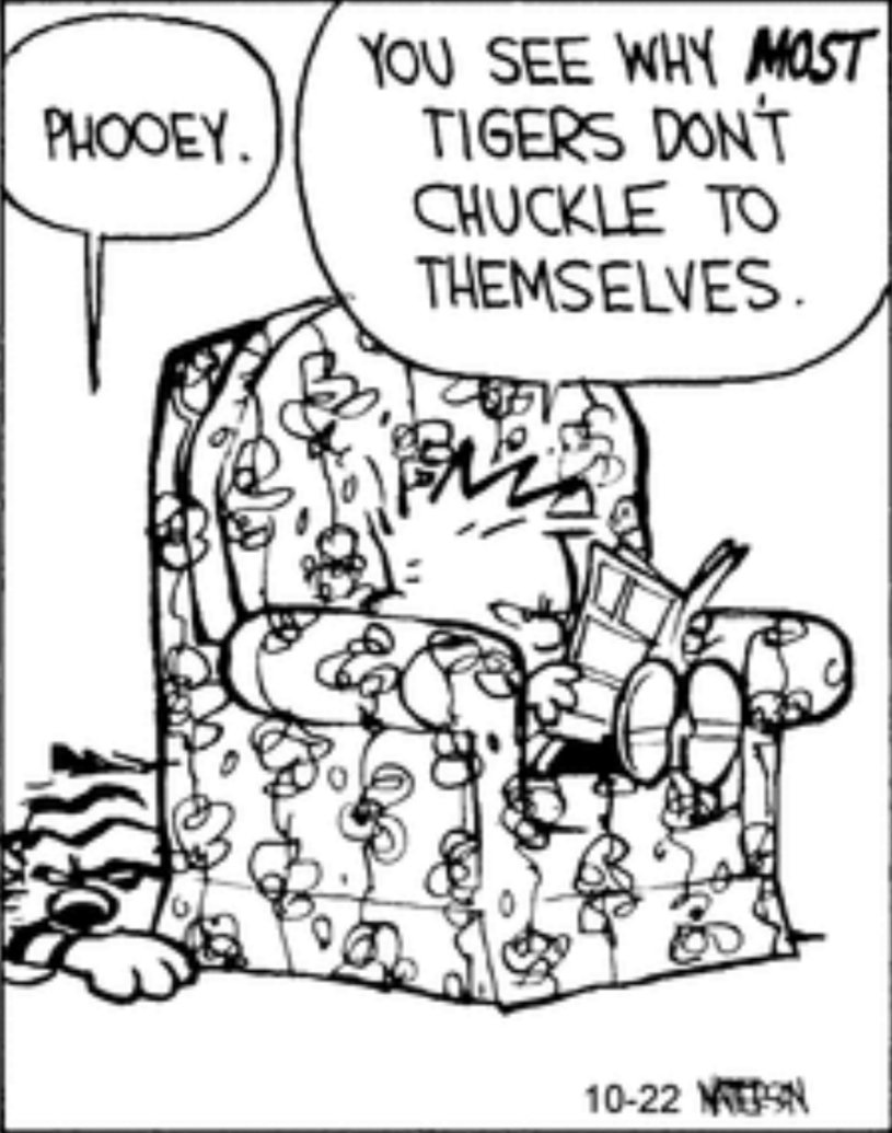 #CalvinAndHobbes