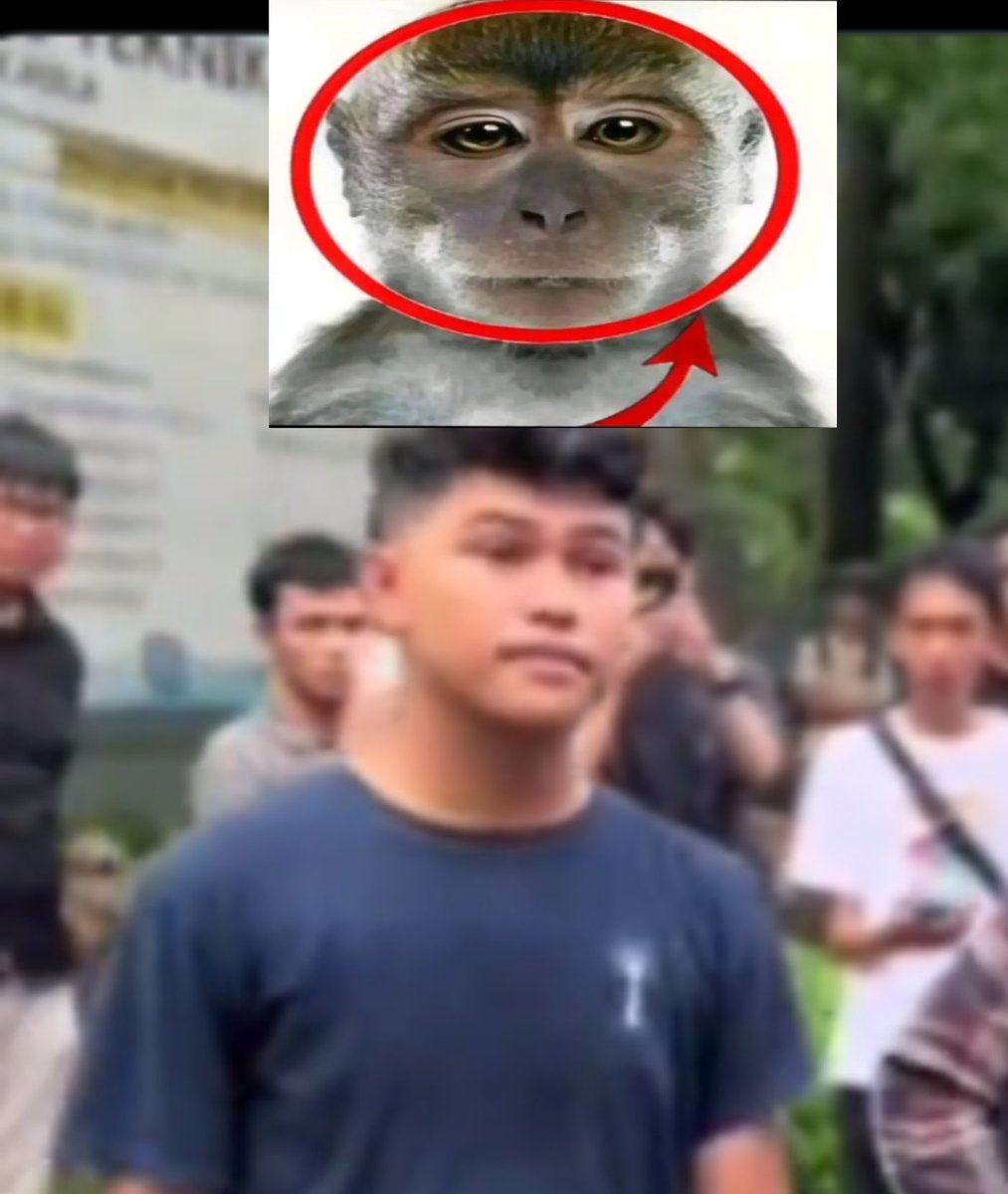 LSodet84180's tweet photo. @AkukanUltramen @hurryKoRn wujud asli anak intelek menuju Indonesia (c) emas https://t.co/Rx8WdE0Jwj