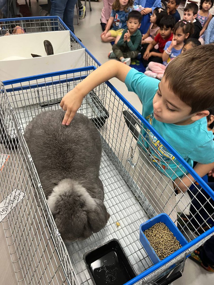 🐾 PreK students are experiencing truly hands-on learning by engaging with animals! 🌟 Learning through interaction creates unforgettable educational experiences. #EarlyLearning #HandsOnLearning #EducationForAll