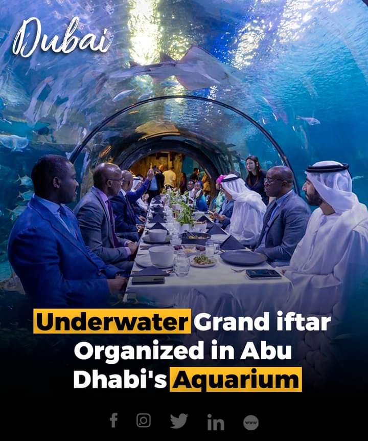 The National Aquarium Abu Dhabi has organized an underwater iftar as a spectacular welcome for its newest inhabitants.