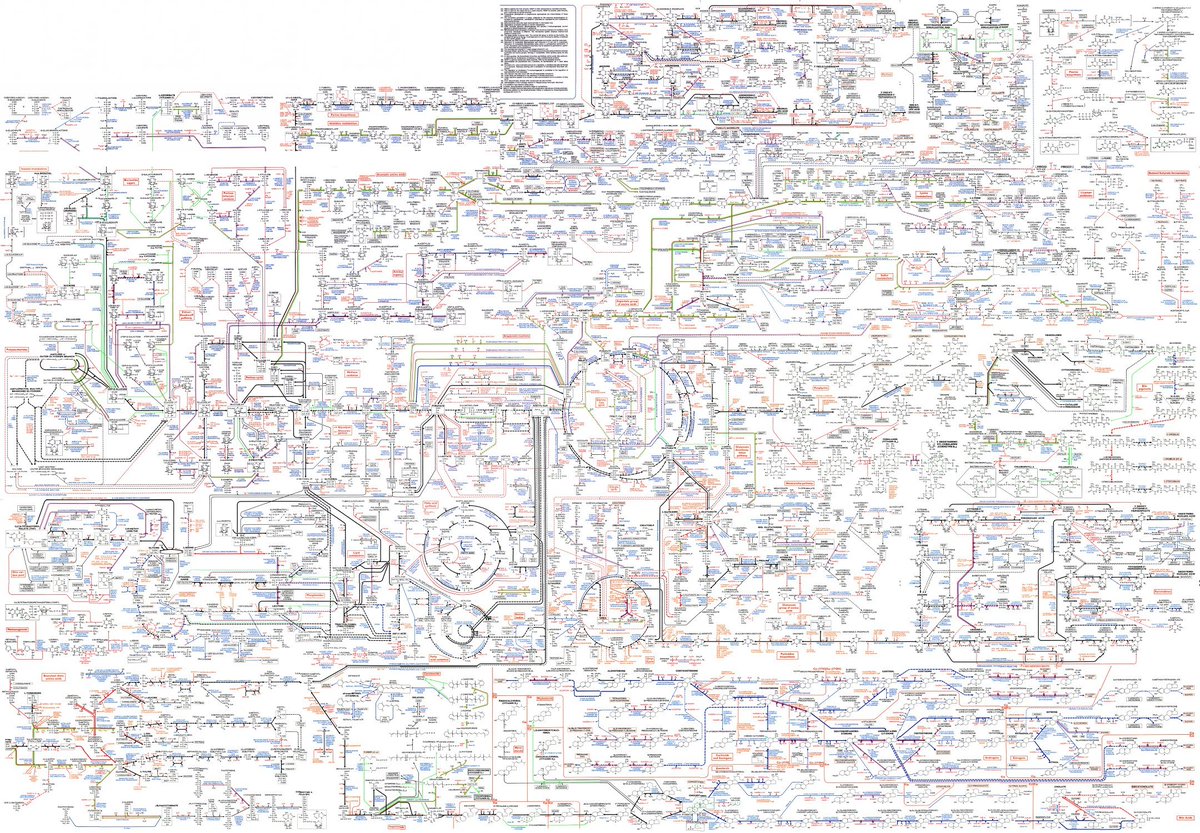 Patient: I just don't feel right. Medical student: Can you point to the metabolic pathway that's bothering you the most?