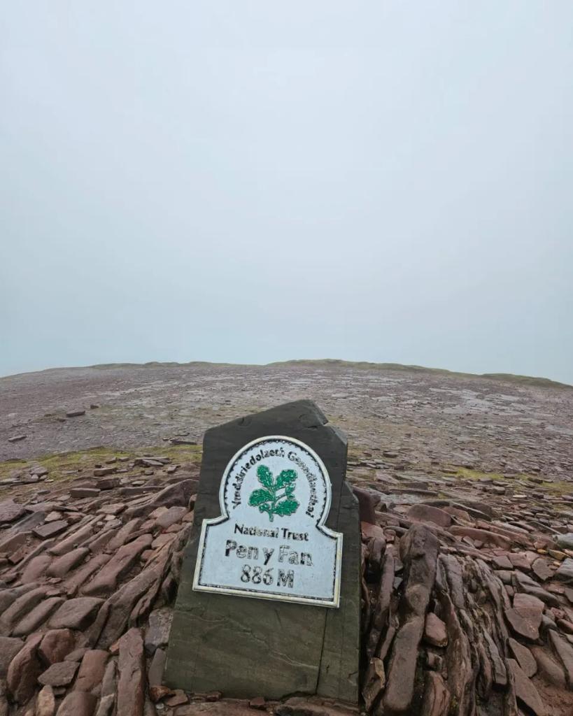 Sarah Herbert tweet media