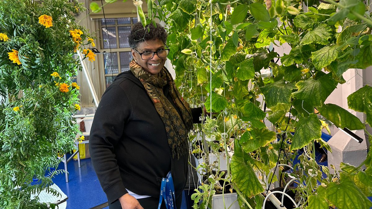Guests and Club leaders had a wonderful time during our hands-on tour of the @NYsunworks hydroponic farming labs on April 2. Everyone had the chance to learn how hydroponic farming is helping local youths. Upcoming events: bit.ly/3r3dQYQ #hbs #hbsclubny #HBSAlumni