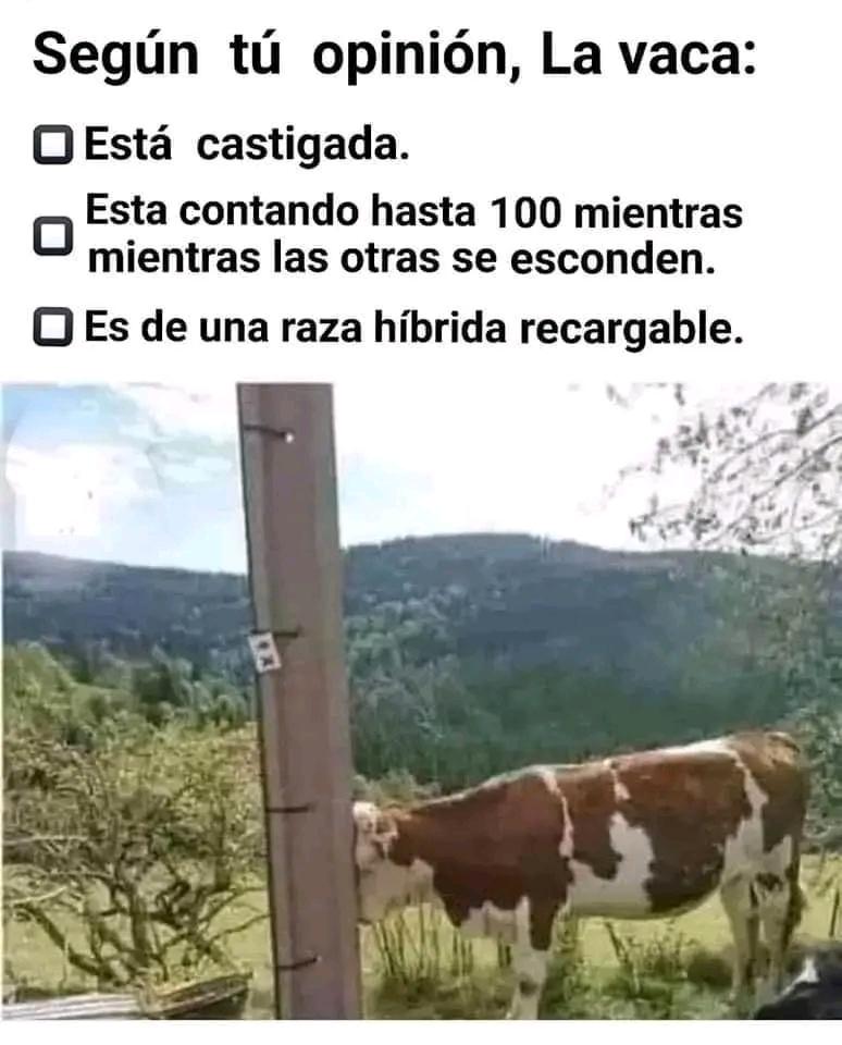 ♈Cari ♈🇻🇪 tweet media