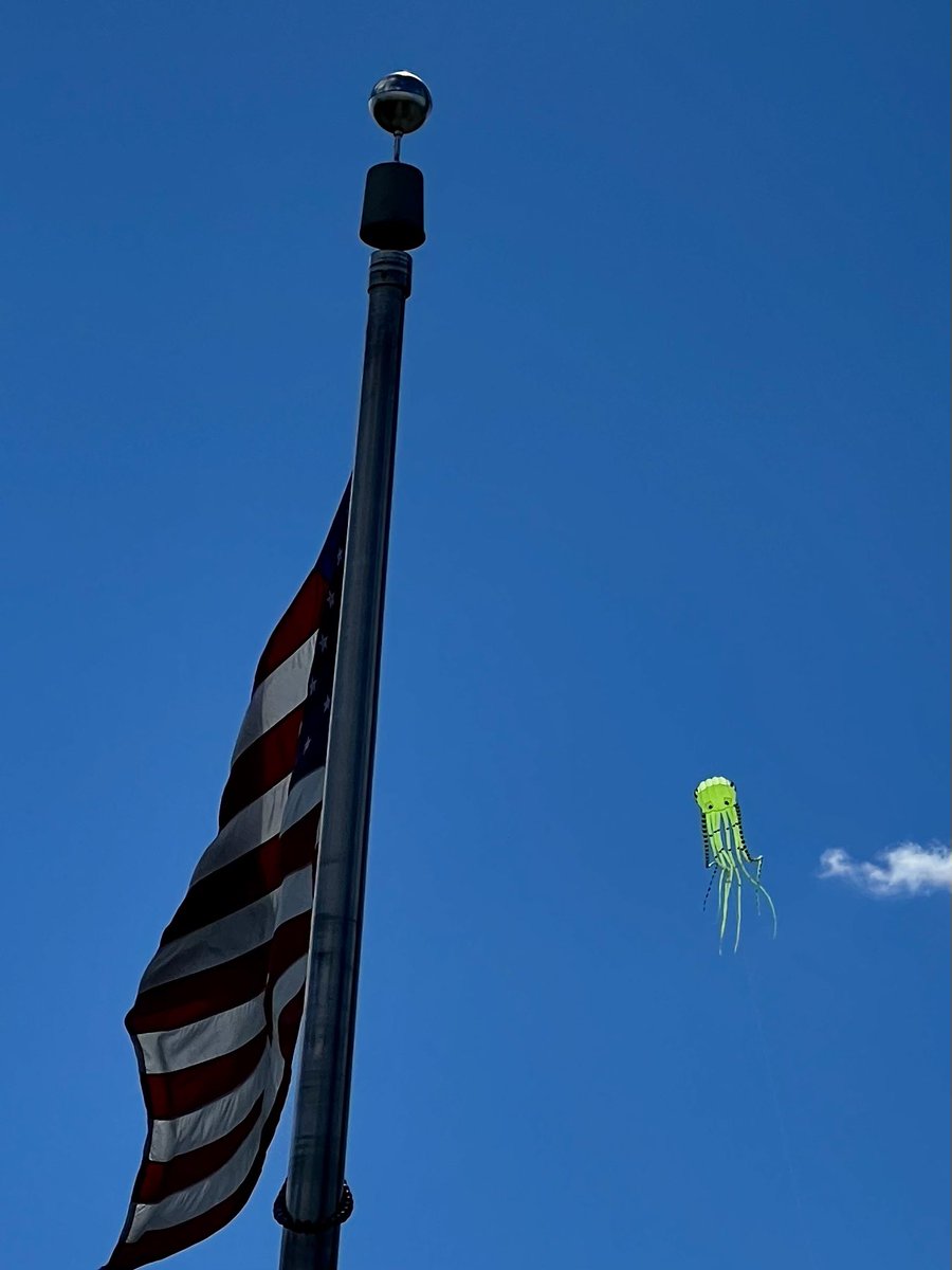 Green fluorescent protein kite