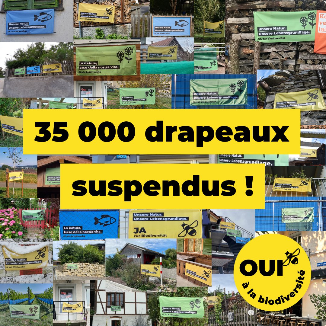 Wow ! Plus de 35 000 personnes ont accroché un drapeau pour un oui à la #biodiversité !  ❤ Commandez vous aussi un drapeau et aidez-nous à atteindre les 40 000. 👉 bit.ly/488ygz7 #BiodiversiteOui #NotreVie #Suisse