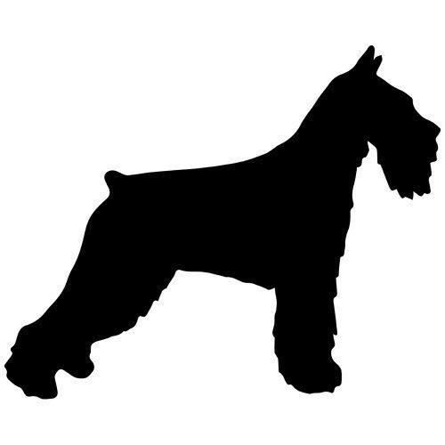 SchnauzyDog's tweet photo. Standard Schnauzer Dog Decal Sticker (Black, Mirrored), Decal Sticker Vinyl Car Home Truck Window Laptop https://t.co/XGej0Zpxjx (via Amazon) https://t.co/jyHPrMlkc7
