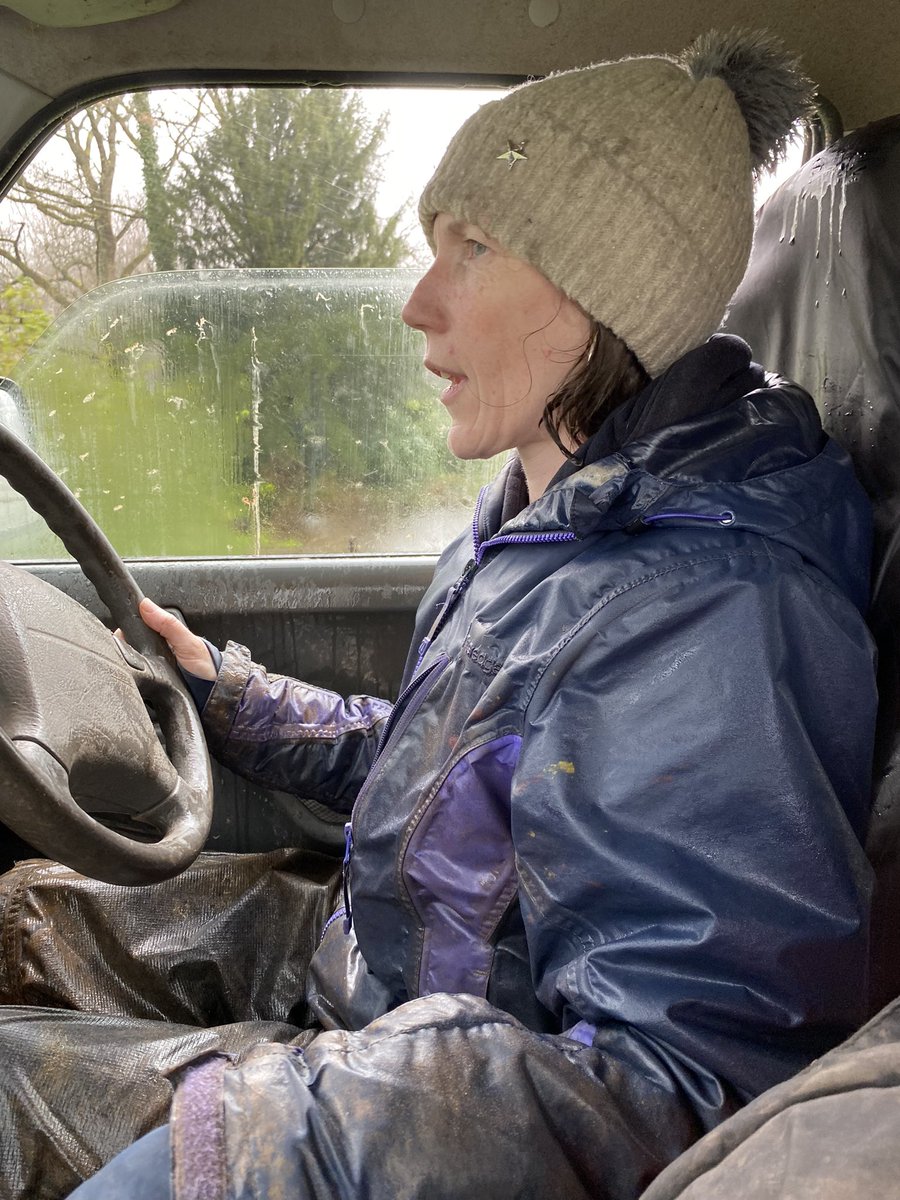 Introducing the ‘do not get stuck drowned rat look very well.’ I did not get stuck. But I did get soaked shifting sheep from rapidly rising river Usk. #storm #rain #Spring2024