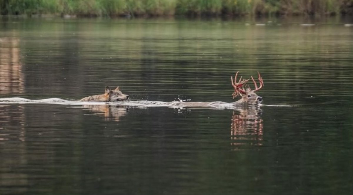 Eastmans' Hunting tweet media