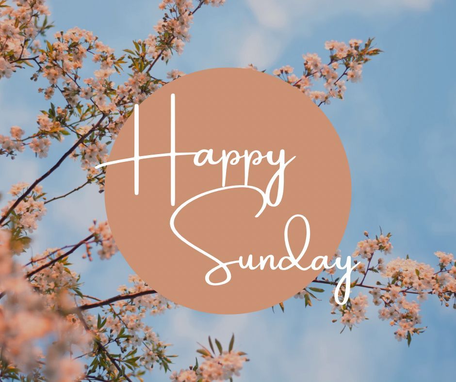 Happy Sunday! Hope your weekend is going great! #mezwins #mezranolawfirm #personalinjurylawyer #alabama