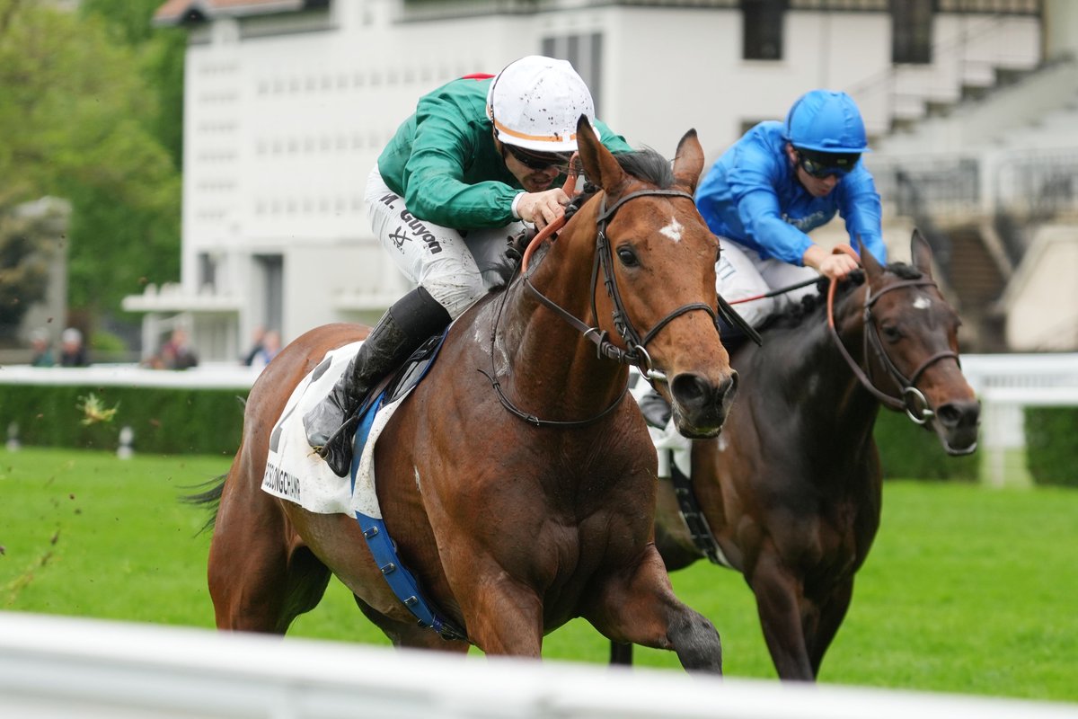 Ecurie Benaroussi (@benaroussi_s) on Twitter photo Goosebumps ♦️🥇 Thank you ZARAKEM and all team related for this striking victory in the G2 Prix d'Harcourt. Owned in partnership with <a href="/Haras_d_Etreham/">Haras d'Etreham</a> and entrusted to <a href="/EcurieReynier/">Ecurie J.Reynier</a> & <a href="/maximeguyon_off/">Maxime Guyon</a>, our beautiful son of <a href="/AgaKhanStuds/">Aga Khan Studs</a> #Zarak should run the G1 Prix Ganay next Goosebumps ♦️🥇 Thank you ZARAKEM and all team related for this striking victory in the G2 Prix d'Harcourt. Owned in partnership with <a href="/Haras_d_Etreham/">Haras d'Etreham</a> and entrusted to <a href="/EcurieReynier/">Ecurie J.Reynier</a> & <a href="/maximeguyon_off/">Maxime Guyon</a>, our beautiful son of <a href="/AgaKhanStuds/">Aga Khan Studs</a> #Zarak should run the G1 Prix Ganay next