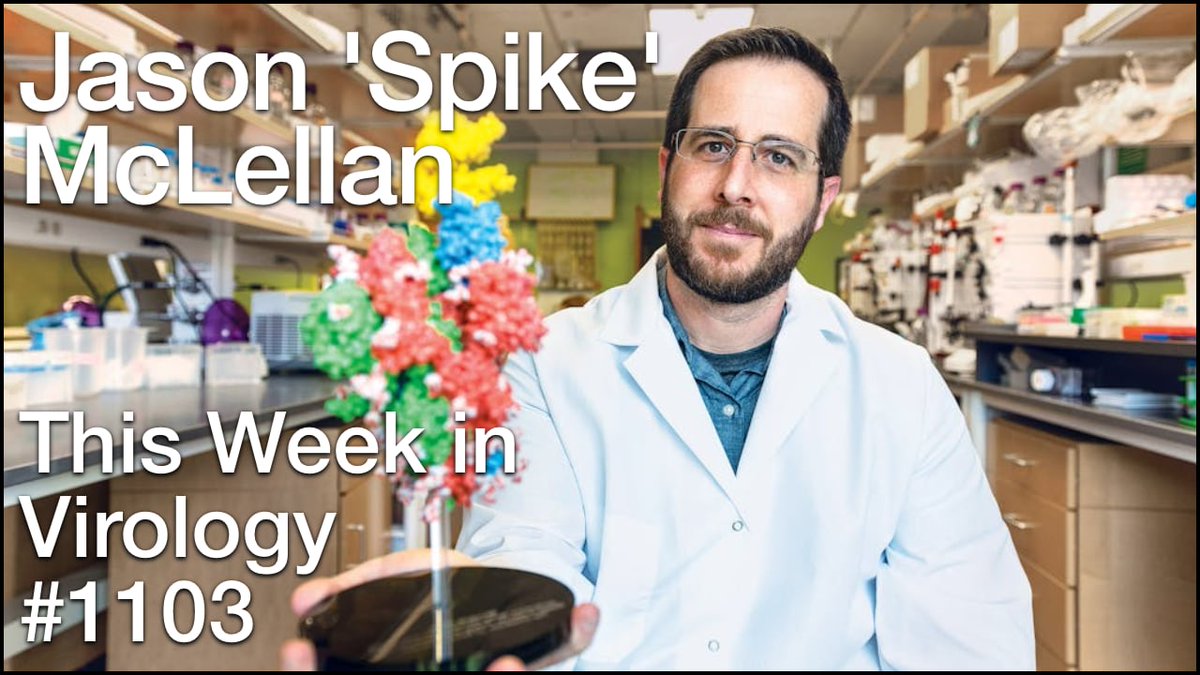 Vincent travels to @UTAustin to speak with Jason McLellan about his career & research on SARS-CoV-2 spike protein, including the effect of adding two proline residues, its effect on other viral spike glycoproteins & general approaches to vaccine design. 📺 bit.ly/3J9rGP6