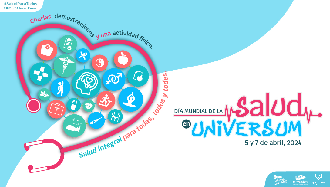 ⚕️¡El segundo día de #SaludParaTodxs está aquí! @UniversumMuseo se une a la conmemoración del #DíaMundialDeLaSalud, destacando la importancia del acceso a una atención de salud integral digna y sin discriminación.🧠 ¡Ven a Universum!🎉 👉bit.ly/4aizAkX
